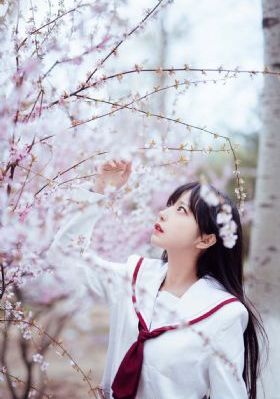 牧神记动漫第一季_DVD全集在线观看